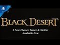 Black Desert | Striker and Tamer Class Update | PS4