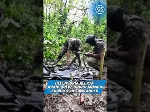 Defensoría del Pueblo lanza alerta por expansión de Loas Pachencas en Norte de Santander