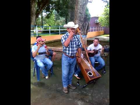 Al pie del Arpa. En homenaje al cubiro