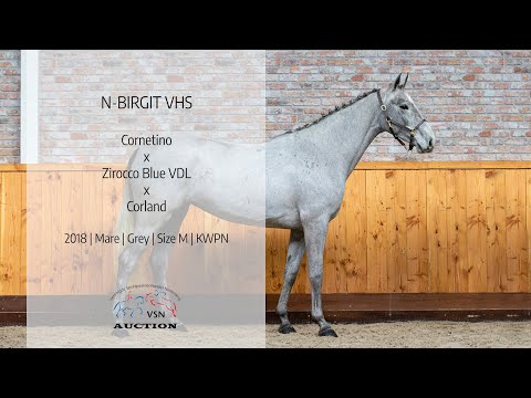 N Birgit VHS (v.Cornetino x Zirocco Blue VDL)