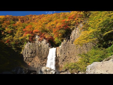 Naena Falls en hojas de otoño 2023・4K