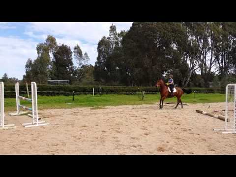 Laura Castineyras - JB Bigbird 06/08/2015 Training I