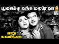 Poojaikku Vandha HD Video Song பூஜைக்கு வந்த மலரே வா Paada Kaani
