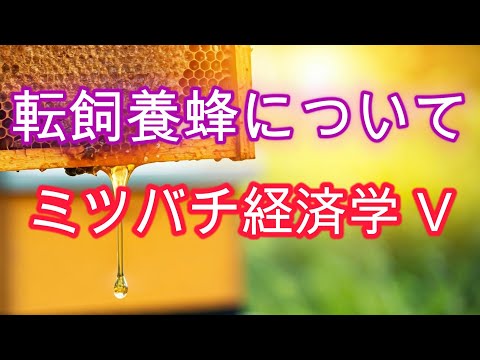 経済学科 ミツバチ経済学 Ⅴ／旅する養蜂について考える／山崎亮一／日英字幕付き／Beekeeping economics Ⅴ／Migratory Beekeeping／R Yamazaki／Eng sub