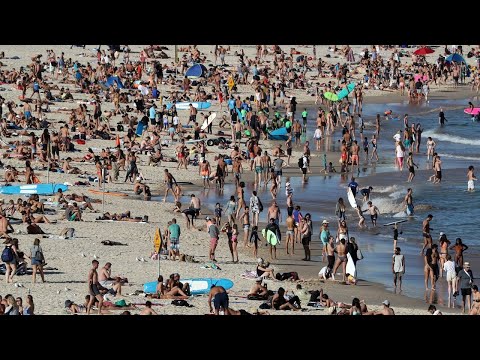 Popular Sydney beaches face possible crowd limitations