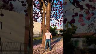 Download lagu Fugees - Killing Me Softly With His Song mp3