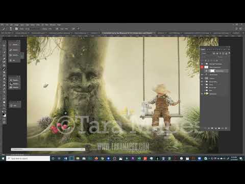 Enchanted Tree by Tara Mapes Overview of Layered PSD Digital Background