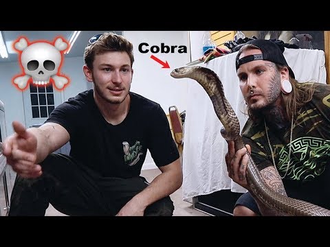 download lagu mp3 mp4 Tylers, download mp3 Tylers free download, download mp3 Tylers