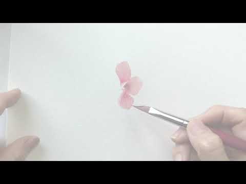 Introduction To The New Velvetouch™ Petals Brush with Esther Peck