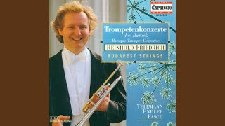 Download lagu Concerto in D Major: I. Allegro mp3