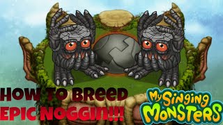 How To Breed Epic Noggin!!!