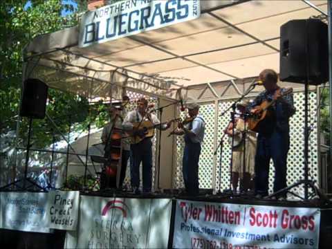 Piney Creek Weasels: Walking in My Sleep