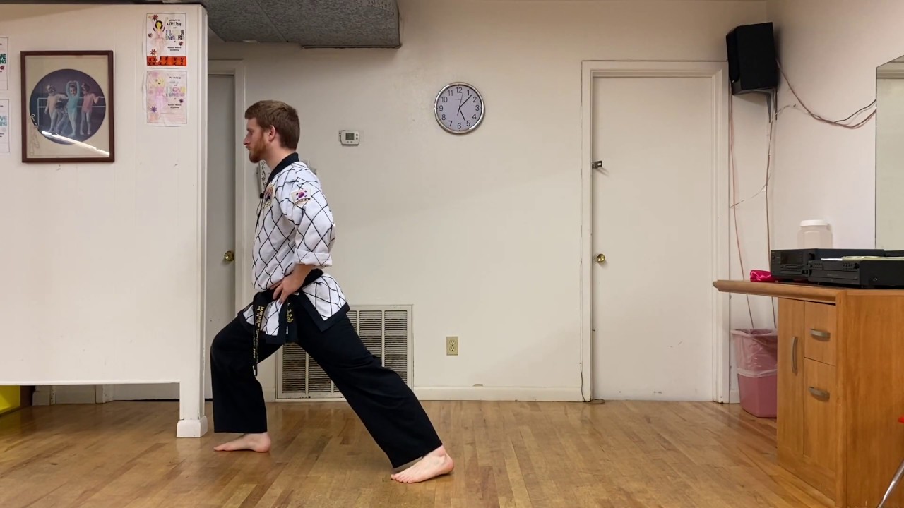 Basic Taekwondo Stances