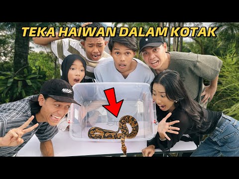 TEKA HAIWAN DALAM KOTAK! DAFI KENA PATUK!