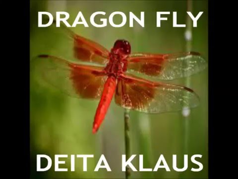 DRAGONFLY by Deita Klaus