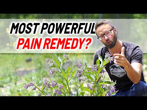 Comfrey Salve (how to make for topical use) For arthritis, back and joint pain, old injuries, etc.