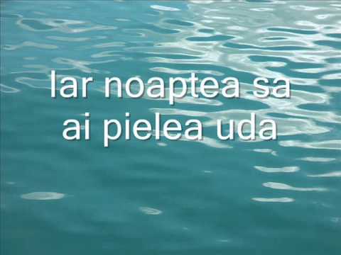 Vama Veche - Vama Veche ( versuri )