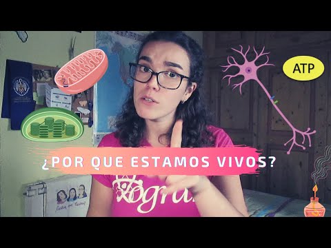 Vídeo: Cinco reaccións bioquímicas que te manteñen con vida