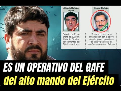 History.- The capture and rescue of the Mochomo