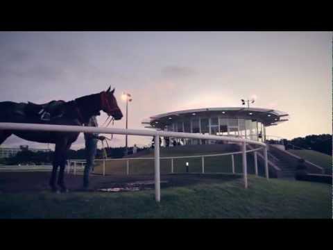 AAMI Golden Slipper - Gai Waterhouse Profile