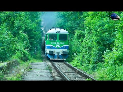 060-DA/ST43 Loko 60-0842-4 cu Mecanic Grozav/with Great Engineer in Apuseni Mountains - 22 July 2015