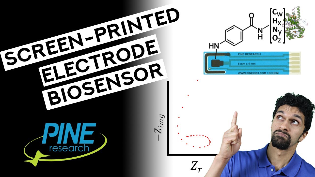 Electrochemical Impedance Spectroscopy of a Screen-Printed Electrode Biosensor (Inductive Loop!!)