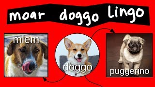 Doggo Diagram 2