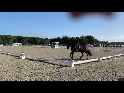 FEI CCI Eventing 2* test B 2022