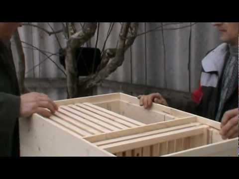 4. SINTEZA: Sfaturi despre iernatul in Bio Stup Ioan Ursu si expandarea graduala din primavara 4/4