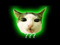 Crunchy Cat Sound Variations In 30 Seconds