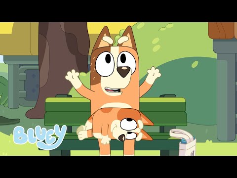 Capa de Animais 🐆🧡 | Pequenas Histórias com Bluey | Bluey Português Brasil Canal Oficial