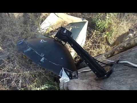 Djuma: Squirrel upset with Hosana leopard nearby - 15:16 - 06/05/19