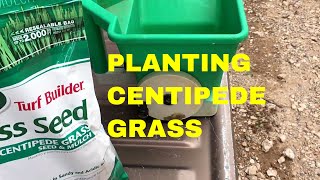 Planting A Centipede Lawn~ Southern Lawn Grasses