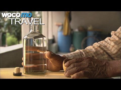 Mezcal, Hochprozentiges aus Mexiko (360° - GEO Reportage)
