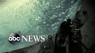 Tito Jackson's ex-wife Dee Dee Jackson tragically drowns: Part 2