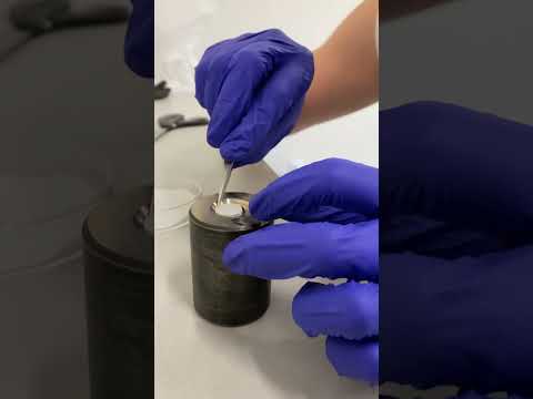 How to Grow a Blue Diamond