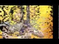Chandragupta Maurya Theme Song New