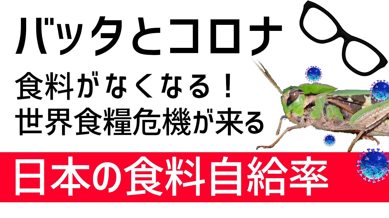 【バッタ続報と世界食糧危機】日本は大丈夫？日本の食料自給率とサバクトビバッタ続報など【食糧安全保障】