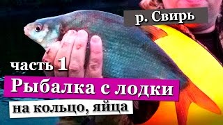 Отчеты о рыбалке на реке свирь