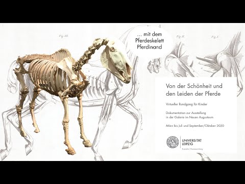 , title : 'Das Pferdeskelett Pferdinand und seine Artgenossen'