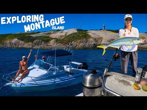 BOAT COOK UP | Montague Island | INSANE Fishing Session