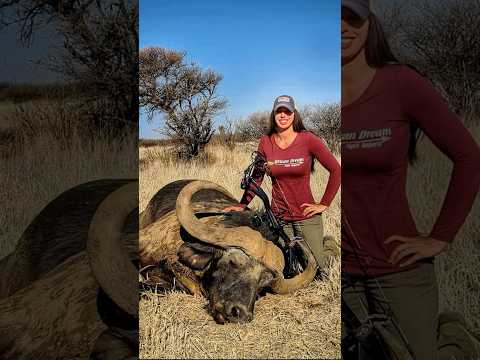 Hunting Cape Buffalo with a bow is exhilarating! #hunting #biggamehunting #bowhunt #bowhunting