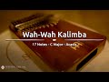 Meinl Sonic Energy KL1705H Wah-Wah Kalimba thumbnail 13