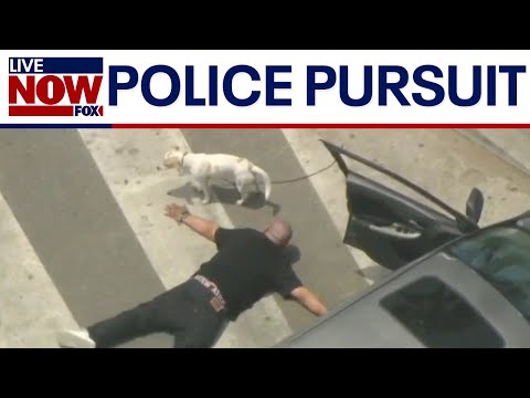 Video | Man with dog in custody after high-speed chase ends near Santa Monica Pier