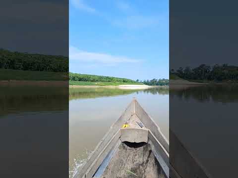 Praia da Primavera Ipixuna  Belezas da região e trilhas das tartarugas. #Ipixuna #Amazonas #Natureza