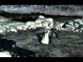 Final Fantasy 8 Sleepwalker Nightwish
