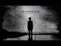 Insomnium - Equivalence (Orchestral Cover) 