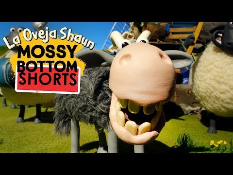 Stomp - Mossy Bottom Shorts - La Oveja Shaun