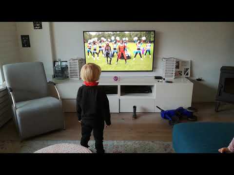 Party Piet Pablo - de Pieten Vibe