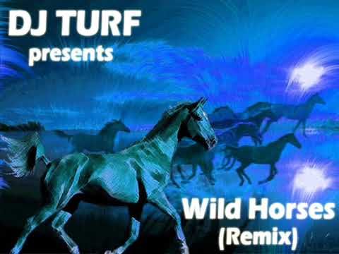 Wild Horses Indigo Remix   by DJ TURF